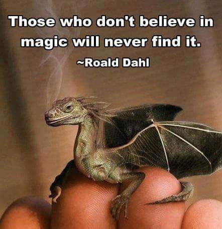 FB_IMG_1502649577446