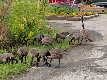 img_20190810_082027